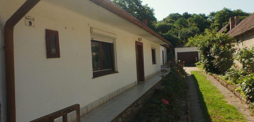 Dorfhaus mit großem Obstgarten in ruhiger Lage bei Bonyhád (Ungarn)