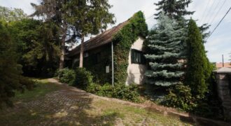 Gepflegtes Haus in der Baranya