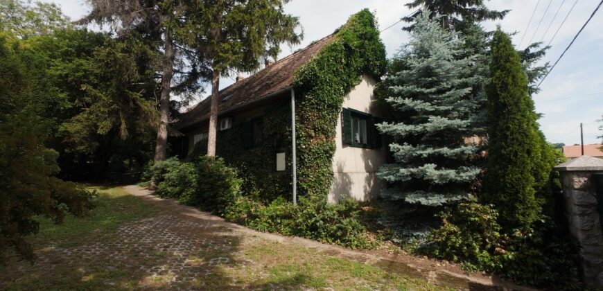 Gepflegtes Haus in der Baranya